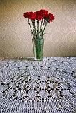 Carnation Still Life_DSCF02405